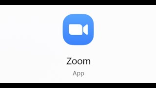 Fix Microphone/Audio Not Working On Zoom App In Windows 11