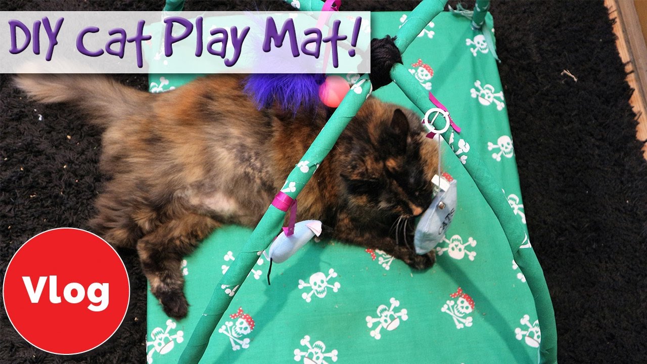How To Make DIY Cat Activity Tent/Gym for Your Cat! Fun Craft Idea To Help  Your Cat Be More Active! 