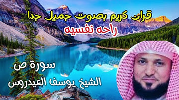 قران كريم بصوت جميل جدا جدا يريح القلب ارح سمعك #quranhearts