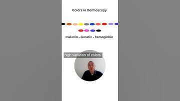 Colours in Dermoscopy: Fit for Dermoscopy – Episode 2