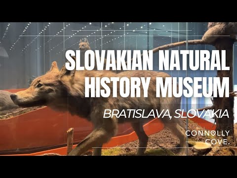 تصویری: موزه ملی اسلواکی (Slovenske nerodne muzeum) توضیحات و عکس - اسلواکی: براتیسلاوا