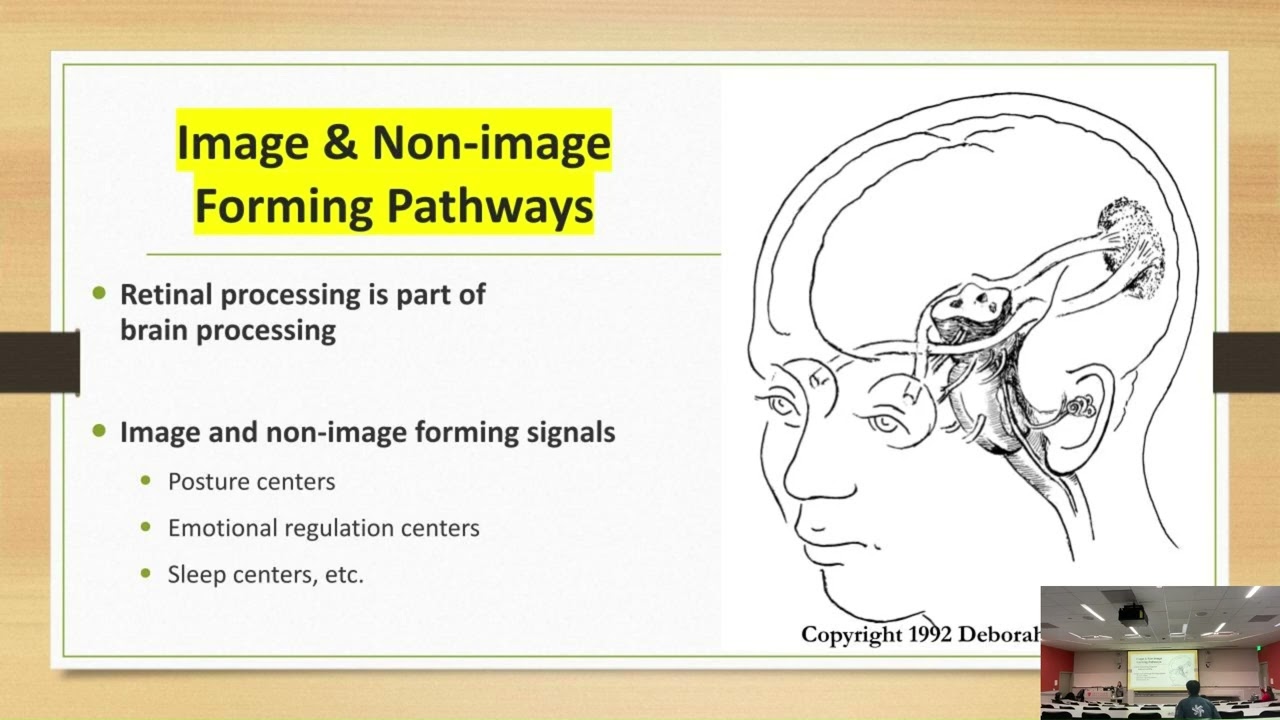 Mind-Eye Founder Speaks at Stanford Brain Injury Program