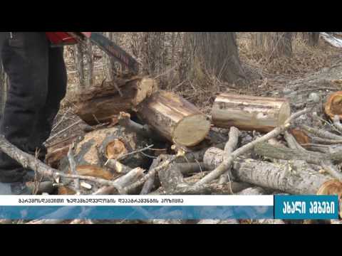 ,,დია\"-ს სიუჟეტს გარემოს დაცვითი ზედამხედველობის დეპარტამენტის რეაგირება მოჰყვა