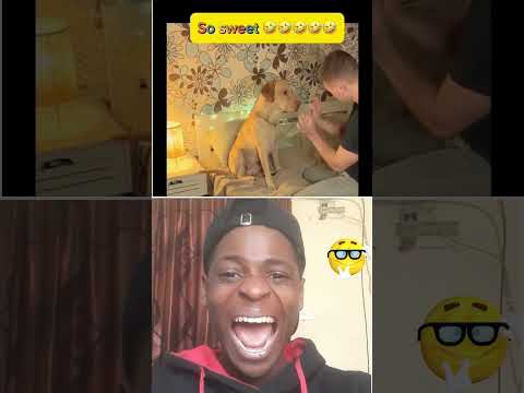 OMG funny 😂 #comedyvideos #trylaughchallenge #funny #funnyshorts #shorts #dontlaught #indianlaughs