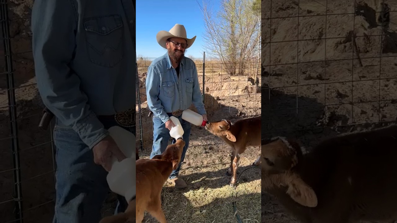 Welcome to Our Little Texas Ranch Livestream  