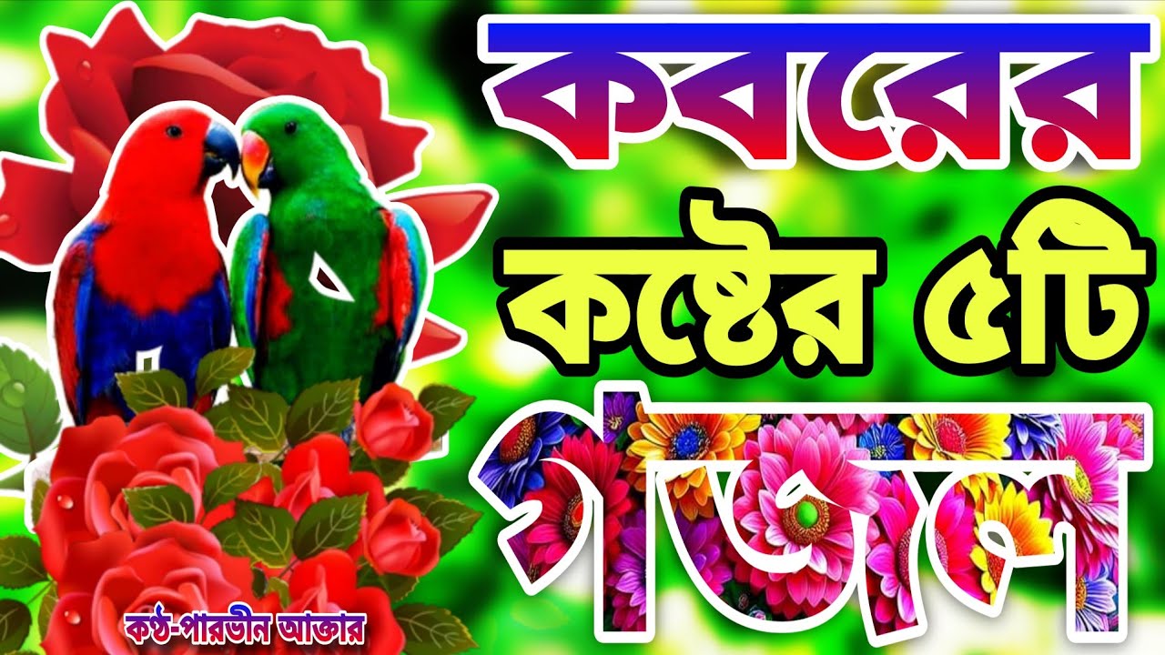 খুবই দুঃখের কবরের শেষ বিদায়ের মায়াবী কন্ঠে মন প্রাণ জুড়ানো সেরা ৫টি গজল।তোমার মরণ হলে দাপন দাফন 