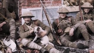 Elton John ~ Talking Old Soldiers.....(They Shall Not Grow Old)