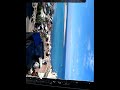 اسكندرية ماريا وترابها زعفران اسكندرية ماريا وترابها زعفران