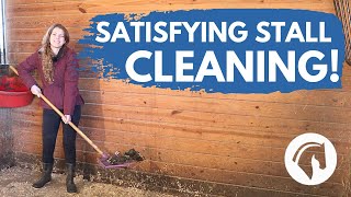 HOW TO CLEAN A HORSE STALL (StepByStep)