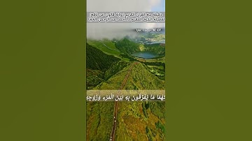 #تلاوة_خاشعة لفضيلة الشيخ المقرئ د. أحمد عبد الرحمن الخجا برواية قالون #اكسبلور #المصحف