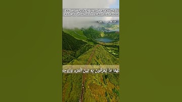 #تلاوة_خاشعة لفضيلة الشيخ المقرئ د. أحمد عبد الرحمن الخجا برواية قالون #اكسبلور #المصحف