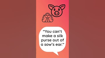 Thumbnail of "You can't make a silk purse out of a sow's ear", in Spanish! (53)