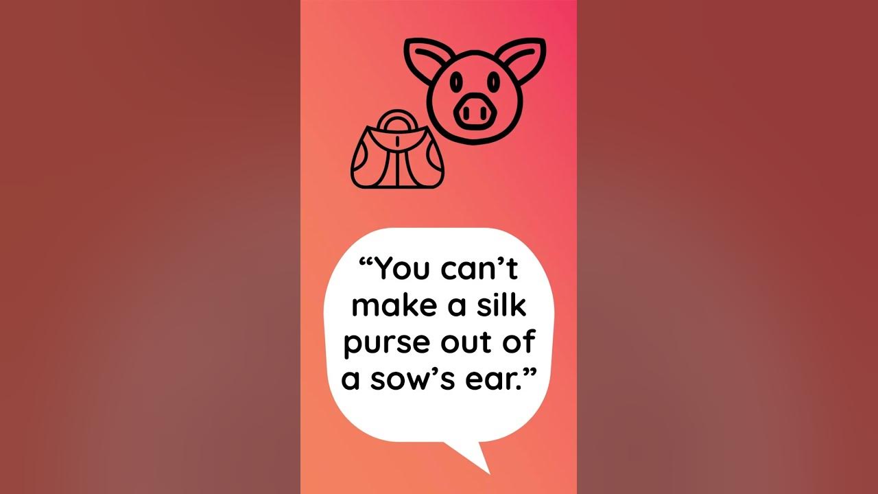 "You can't make a silk purse out of a sow's ear", in Spanish! (53)
