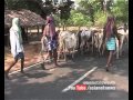 Beef ban: Maharashtra police demands