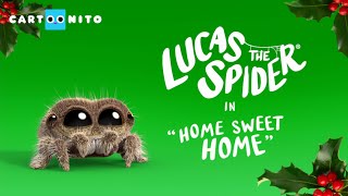 Lucas the Spider  Happy Holidays!