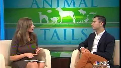 Pet Disaster Preparedness