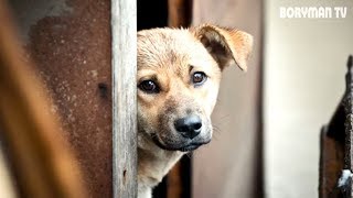 ОНА ПЫТАЛАСЬ ПОКАЗАТЬ ЛЮДЯМ ЧТО-ТО ВАЖНОЕ! КОГДА ОНИ УВИДЕЛИ ЭТО, ТО НЕ МОГЛИ ПОВЕРИТЬ СВОИМ ГЛАЗАМ!