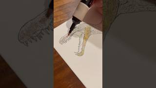 Drawing The Suchomimus From Juric World Camp Cretaceous Chaos Theory