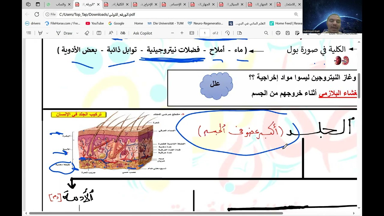 مراجعة تانية ثانوي ترم تاني ( الاخراج)