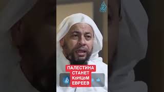 ПАЛЕСТИНА СТАНЕТ КоНЦом ЕВРЕЕВ #ислам #islamvideo #палестина #islam #коран #напоминание #палистина