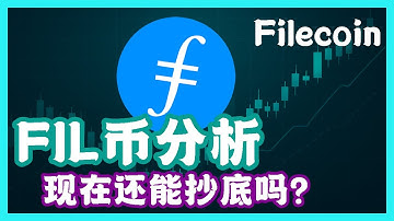 FIL币(Filecoin)为什么一直跌？FIL现在还能抄底吗？去中心化存储是刚需还是骗局？？一个视频告诉你所有FIL的真相