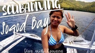 Download lagu Loads of beautiful surprises underwater Scubadiving Sogod bay | Southern Leyte Philippines