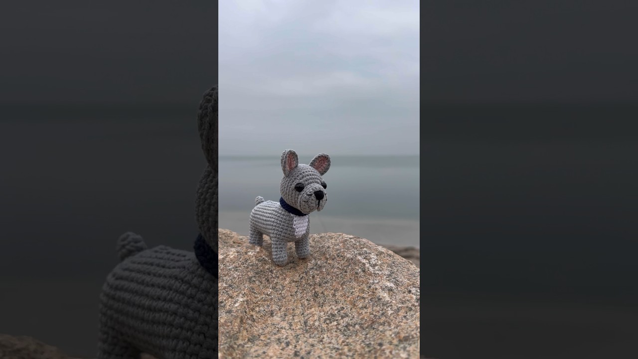 FRENCH BULLDOG amigurumi