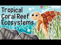 Coral Reefs: Ecosystems of Diversity and Survival