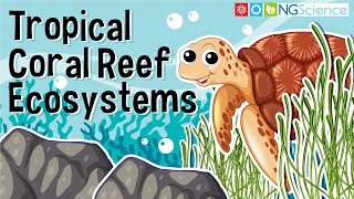 Tropical Coral Reef Ecosystems screenshot 5