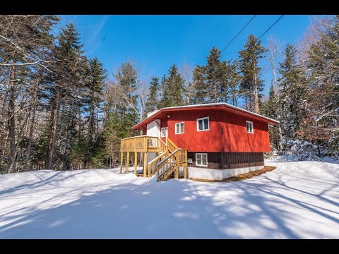 41 Blue Brook, Mount Snow, VT home video tour