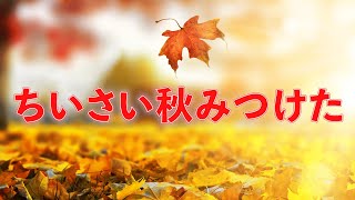 小さい秋 mqdefault.jpg