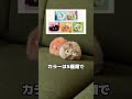 これは流行りそう。撫でたら反応して、振ったら目を回す。そしてちゃんと会話もできる、AIペット「Fuzozo」