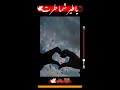 يا طير شما طرت مصيرك هم ترد ستوريات