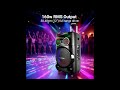 Zebronics Ginox Plus Party Trolley DJ Speaker 160W – RGB LED, 10H Battery, Karaoke, Bluetooth 5.0