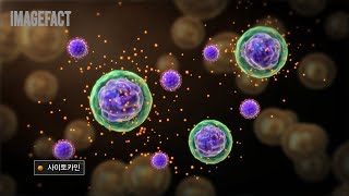 만성피로와 코로나바이러스 Chronic Fatigue And Coronavirus