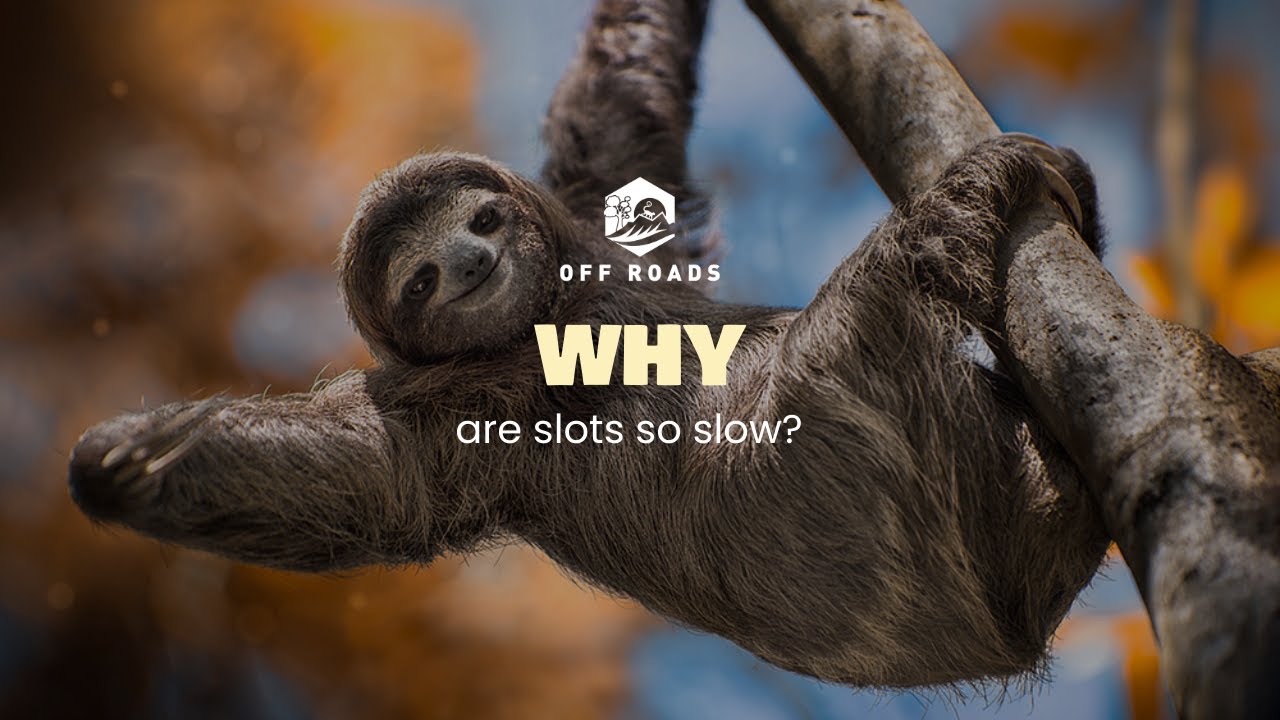 𝗪𝗛𝗬 𝗔𝗥𝗘 𝗦𝗟𝗢𝗧𝗛𝗦 𝗦𝗢 𝗦𝗟𝗢𝗪? 🦥🤯 | Animals of the Amazon Rainforest | Jungle Tours | Off Roads Travel