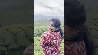 Munnar കാഴ്ചകൾ 😌😅🦋 #rubypengaming #munnar #munnartouristplaces #munnarvibes