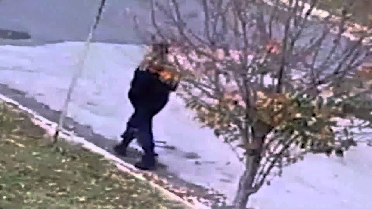 Persons of Interest in Burglary II, 4800 b/o Iowa Ave, NW, on November 18, 2015 northwestern visayan colleges
