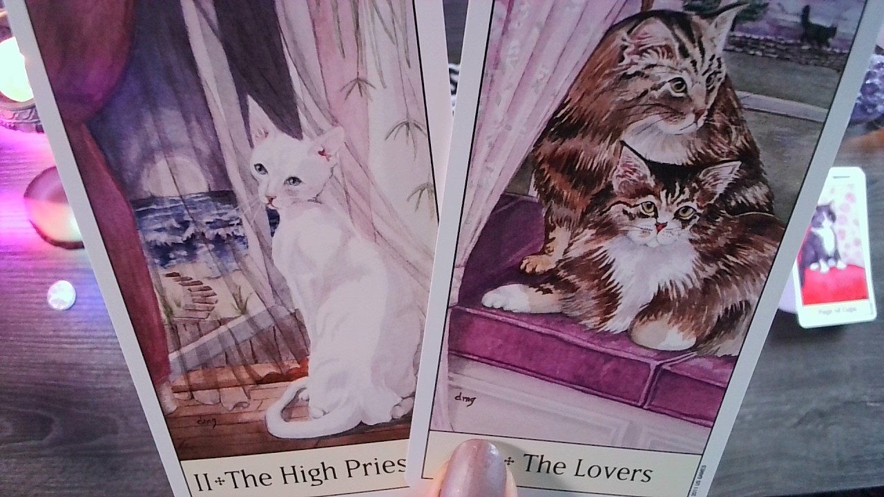 PISCES♓YOU ALREADY KNEW THE TRUTH, DIDN'T YOU !!