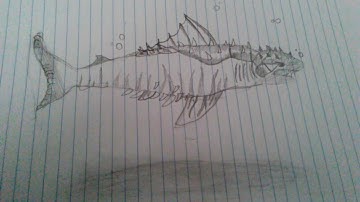 Drawing of a level 40 Megalodon from Jurassic World the game