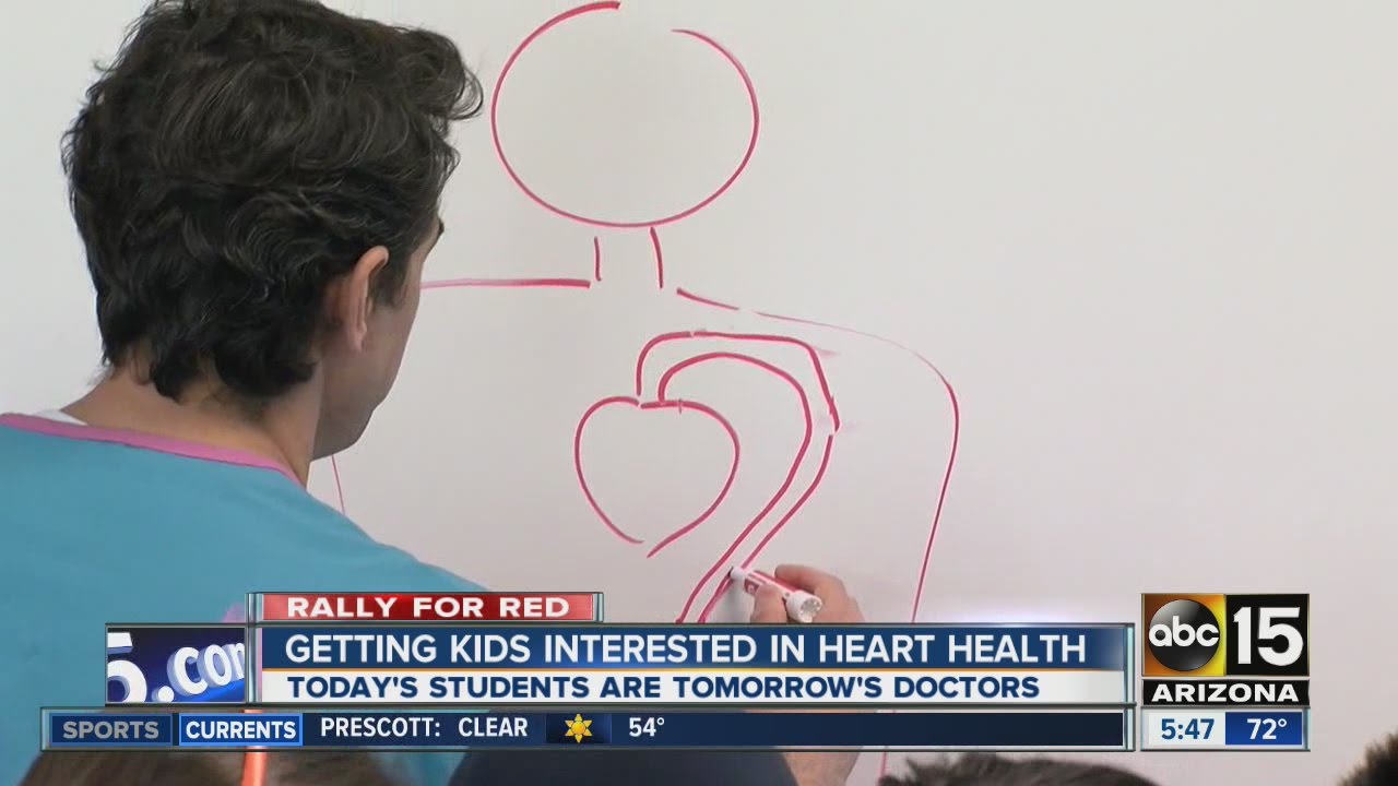 Students' "hands-on" experience could one day help your heart