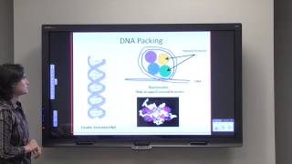 Gene Expression Part 1