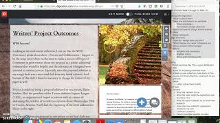 ENG 101 Portfolio Design