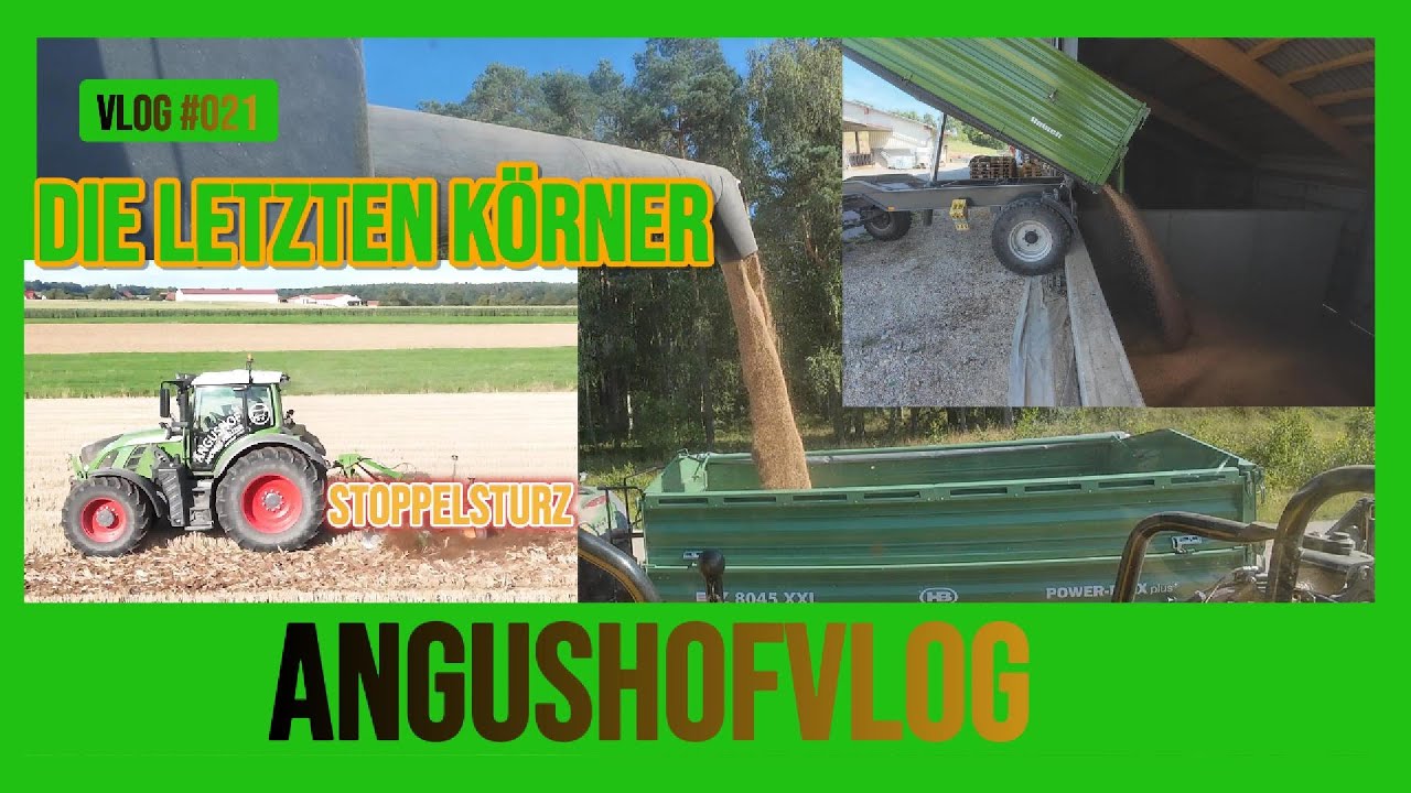 AngushofVlog #020: Die letzten Körner. Stoppelsturz.