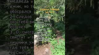 Продолжаю выпускать словарь хайкера! #горы #походы #словарь #горные #хайк #хайкинг