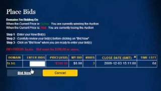 TwoDotBiz Auction Tutorial