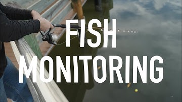 The ORCA Minute: Let