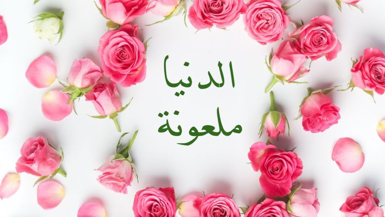 الشيخ ابن باز : معنى حديث ( الدنيا ملعونة ملعون ما فيها )