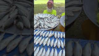 Bata Fish Deshi Curry Cooking Preparation