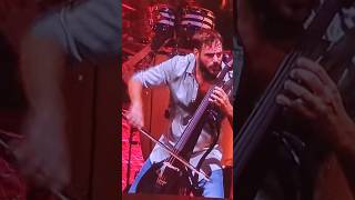 Hauser Live - Despacito #Hauser #Hausercello #Despacito #Music #Live #Concert #Latinmusic #Shorts